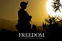 Military Motivational Poster: Freedom