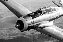 A Republic AT 12 Guardsman aircraft in flight