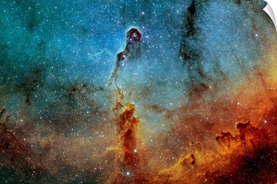 The Elephant Trunk Nebula