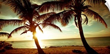 Bimini Sunset