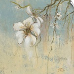 Cherry Blossom I