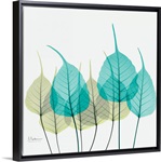 Blue and Green Bodhi Tree Leaf X-Ray Photograph