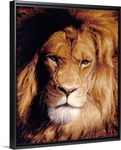 Botswana King