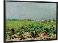 Celeyran, View of the Vineyard, 1880 (oil on canvas)