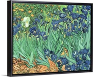 Irises, 1889 (oil on canvas)