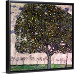 The Apple Tree II, 1916 (oil on canvas)