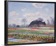 Tulip Fields at Sassenheim, near Leiden, 1886 (oil on canvas)