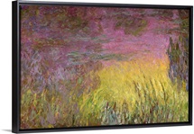 Waterlilies at Sunset, 1915 26 (oil on canvas) (detail of left side)