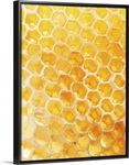 Honeycomb Closeup