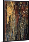 Petrified wood