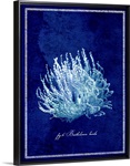 Marine Collection III - Coral