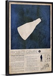 Project Gemini (info)