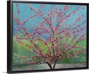 Eastern Redbud Tree