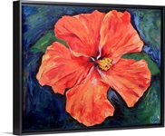 Orange Hibiscus