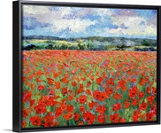 Poppies