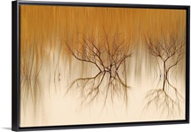Naked Reflections