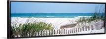 Fence Beach AL