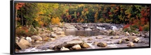New Hampshire, White Mountains National Forest, River flowing through the wilderness