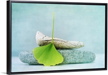Wood, Stone And A Gingko Leaf