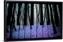 Play the Mystical Autumn
