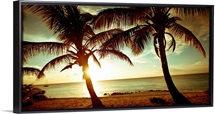 Bimini Sunset