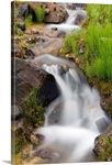 Close up of a small stream and cascade in Denali National Park during mid Summer, Alaska