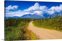 Dirt road crosses through scenic Alaska