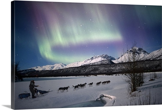 Dog team on the Matanuska River with Northern Lights, Matanuska Susitna, Alaska