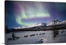 Dog team on the Matanuska River with Northern Lights, Matanuska Susitna, Alaska