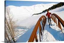 Female skier in Turnagain Pass of Chugach National Forest, Alaska