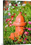 Fire hydrant and flowers Kodiak Island Southwest Alaska