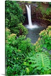 Hawaii, Big Island, Rainbow Falls, Pool Surrounded By Tropical Foliage