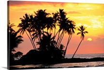 Hawaii, Big Island, Wailua Bay, View Of Palm Trees At Sunset, Calm Ocean Waters