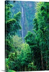 Hawaii, Maui, Hana, Oheo Gorge, Waimoku Falls, And Bamboo Forest