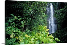 Hawaii, Maui, Hana, Wailea Falls, Surrounded By Lush Greenery