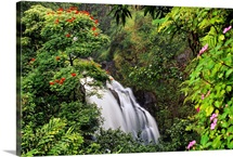 Hawaii, Maui, Hana, Waterfall Surrounded By Tropical Flowers And Plants