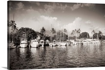Hawaii, Maui, Lahaina, Boats Lined In Harbor