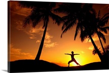 Hawaii, Maui, Olowalu, Woman Doing Yoga At Sunset Under Palm Tree