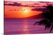 Hawaii, Maui, Tropical Sunset With Palm Tree