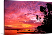 Hawaii, Molokai, Dramatic Tropical Sunset, Palms At Kapuaiwa Coconut Grove
