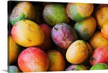 Hawaii, Oahu, Honolulu, Fresh, Ripe Mangoes For Sale At Chinatown Market Stall