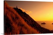 Hawaii, Oahu, Lanikai, Mountain Biker Near Peak