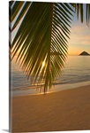 Hawaii, Oahu, Mokulua Islands, Golden Sunrise At Lanikai Beach