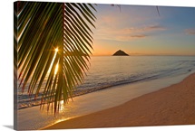 Hawaii, Oahu, Mokulua Islands, Golden Sunrise At Lanikai Beach