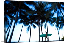 Hawaii, Oahu, Waikiki, Woman Walking With Surfboard