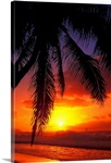 Hawaii, View Of Sunset From The Beach