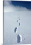 Hikers boot tracks in snow leading up to Primrose Ridge, Winter in Denali National Park