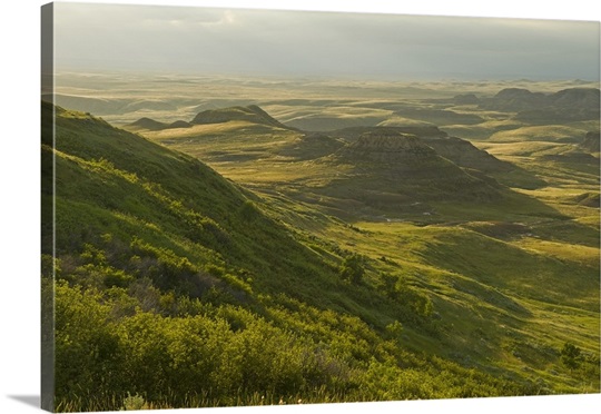 singles over 50 in killdeer 7:00 pm mt timp singles fhe 7:00 pm american fork religion class 7:00 pm cache valley religion class 7:00 pm bountiful education series 7:00 pm. singles over 50 in killdeer 7:00 pm mt timp singles fhe 7:00 pm american fork religion class 7:00 pm cache valley religion class 7:00 pm bountiful education series 7:00 pm.