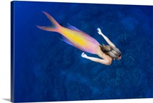 Mermaid