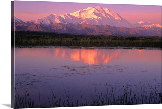 Mt McKinley Relfected in Tundra Pond Denali NP AK